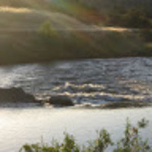 Meet your Posher, Bridgett